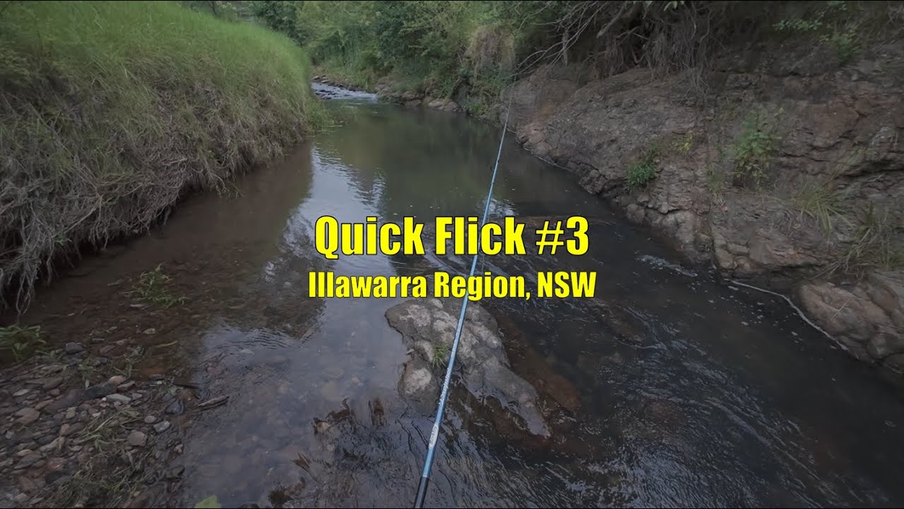Quick Flick #3 - Illawarra Region, NSW