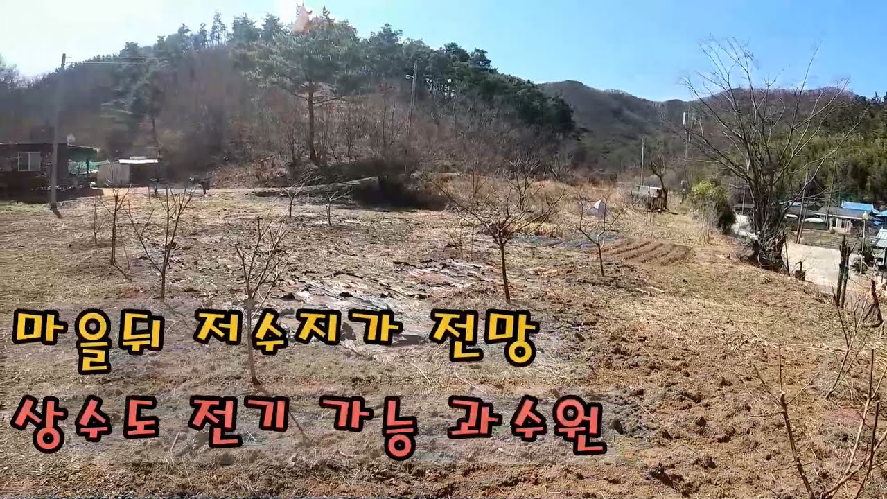매물번호25-8 영천시 북안면 마을뒤 우뚝솟은 저수지 조망 주말농장 상수도 전기 가능 과수원