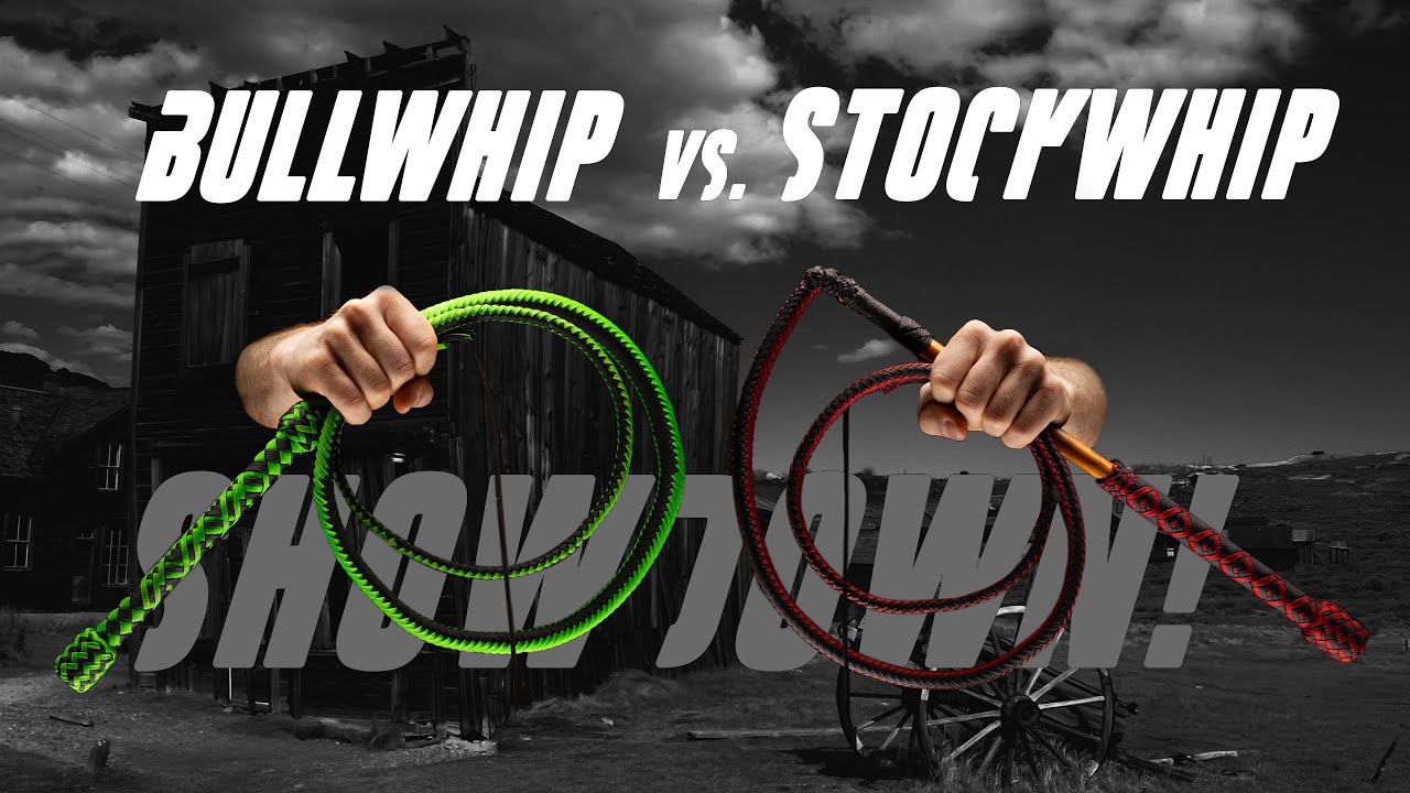 Bullwhip против Stockwhip, что лучше?