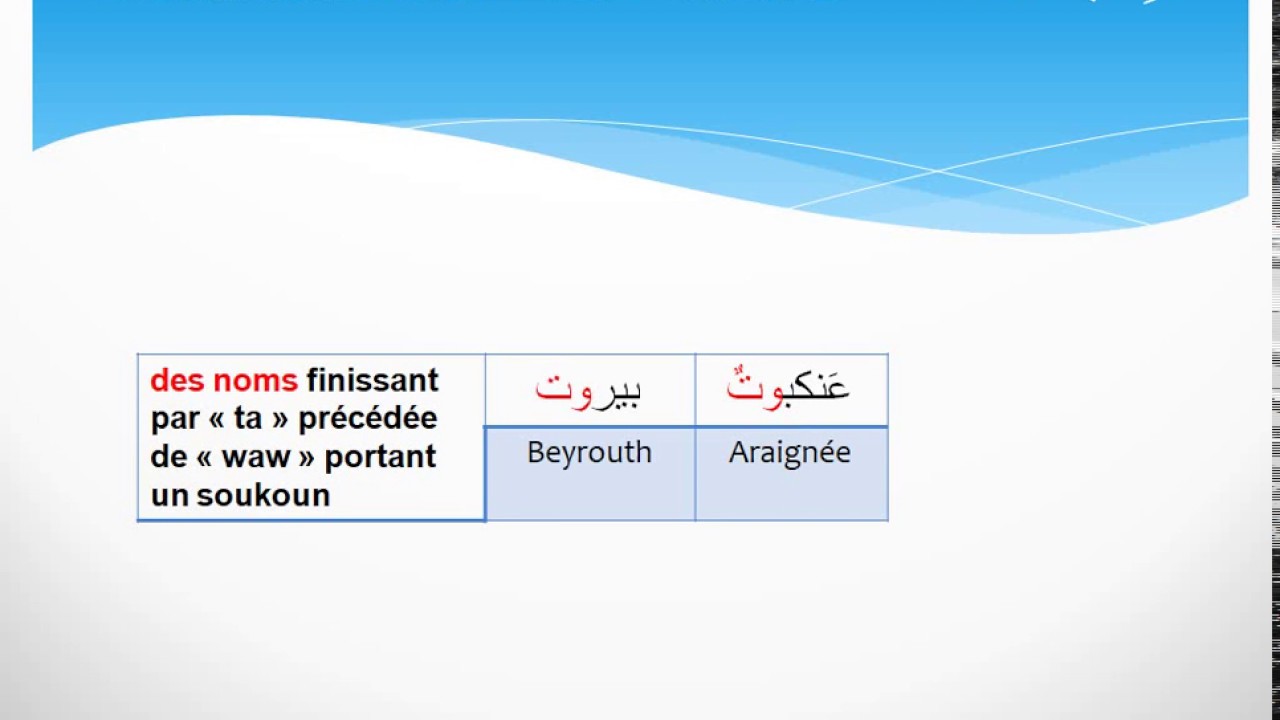 Cours d''orthographe Arabe n°4 : كتابة التاء - L’écriture du 