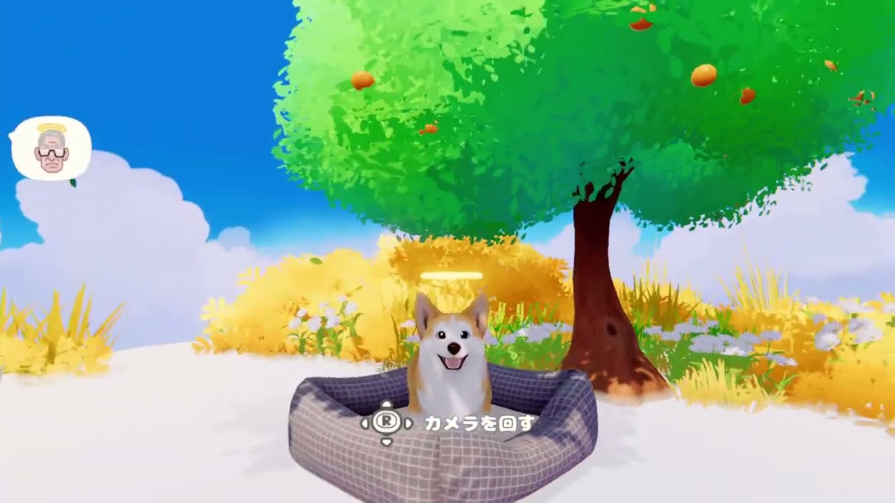 【初回】My little puppy　プレイするよ