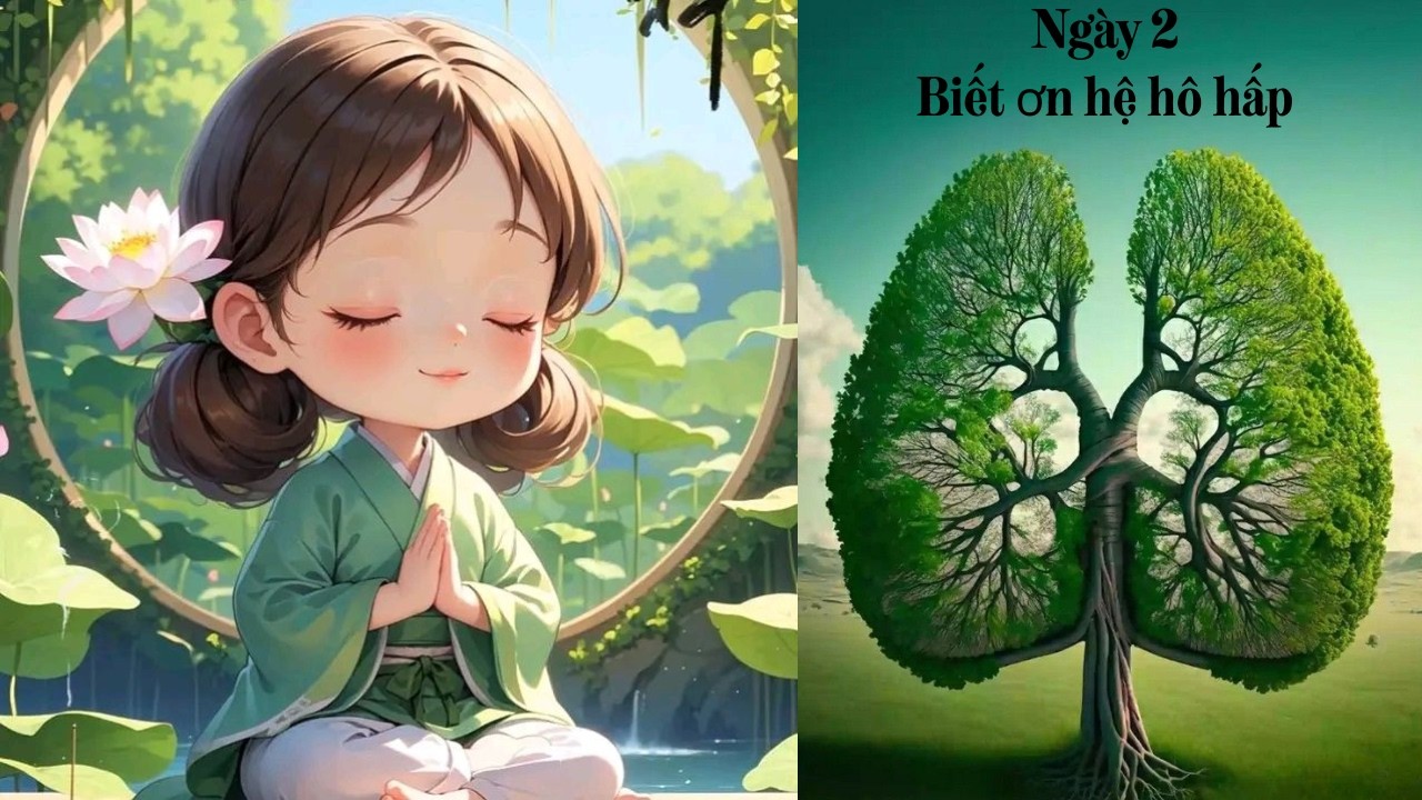 Ngày 2 - Biết ơn hệ hô hấp