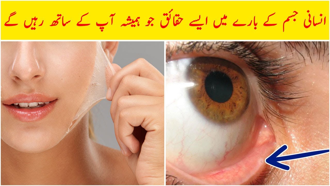 Facts about Human Body in Urdu/Hindi | Amazing Facts about Humans | Dilchasp Maloomat