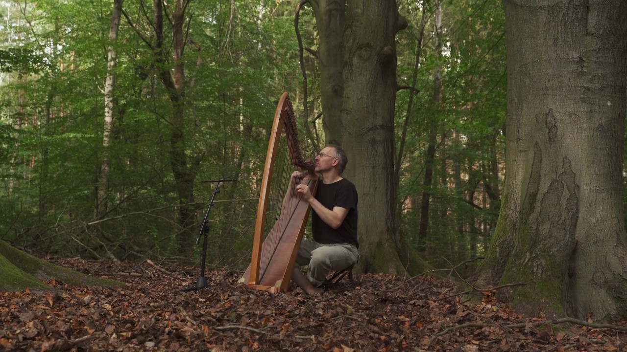 Forest Meditation on Celtic Harp, Part 2