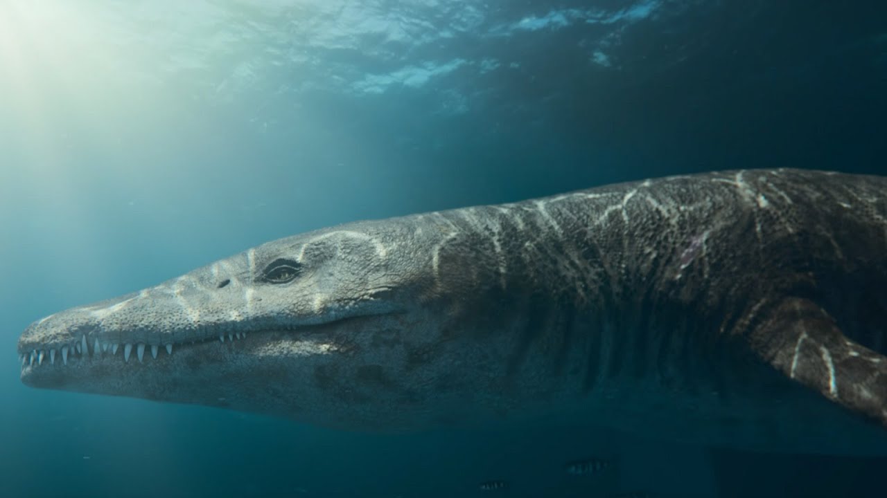 The Tyrannosaurus Rex of the Seas | Attenborough and the Giant Sea Monster | BBC Earth