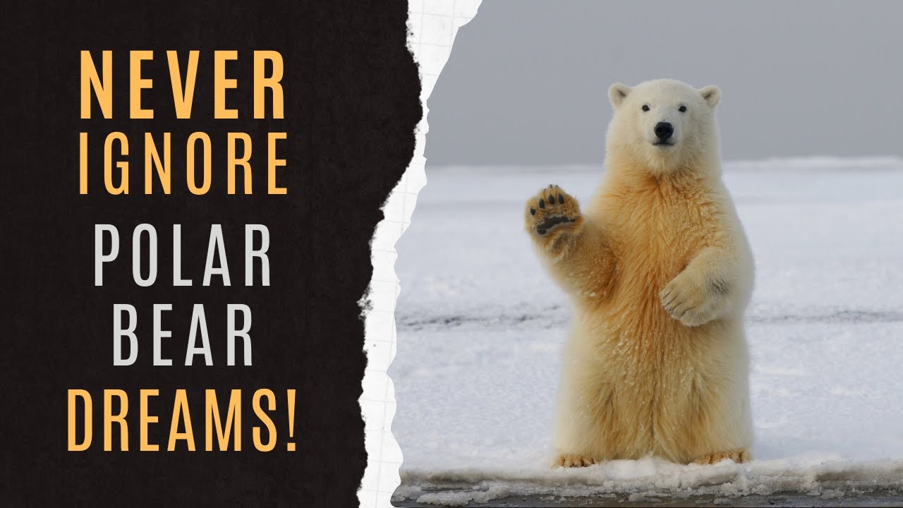 You Won’t Believe What a Polar Bear in Your Dream Means for Your Future