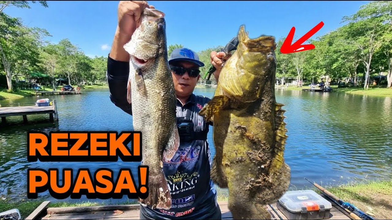 Siakap 2.1KG Di Lubuk Biasa?! Tak Sangka Pecah Saiz!