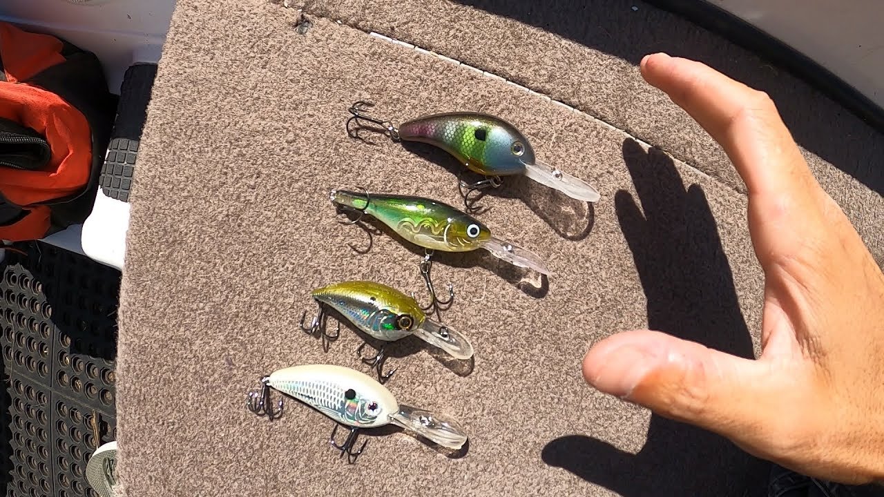 Como Usar un CURRICAN o CRANKBAIT | Pesca de LOBINA