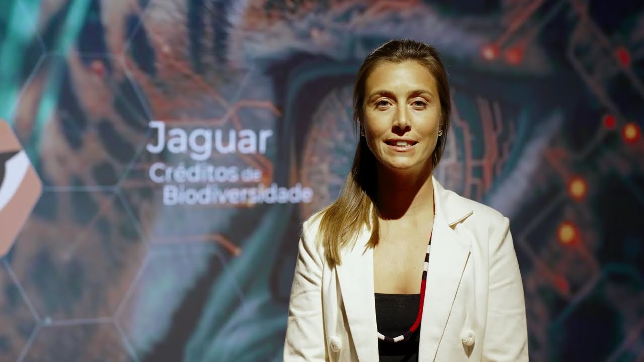 Bioeconomia - créditos de biodiversidade no Pantanal