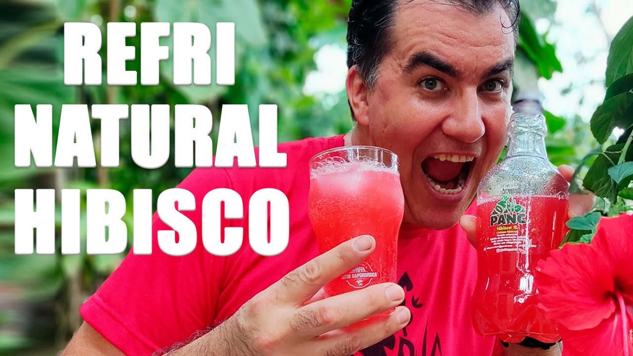 REFRIGERANTE REFRESCANTE NATURAL FEITO DE HIBISCO - Sitio PANC #valdelykinupp #pancnaveia