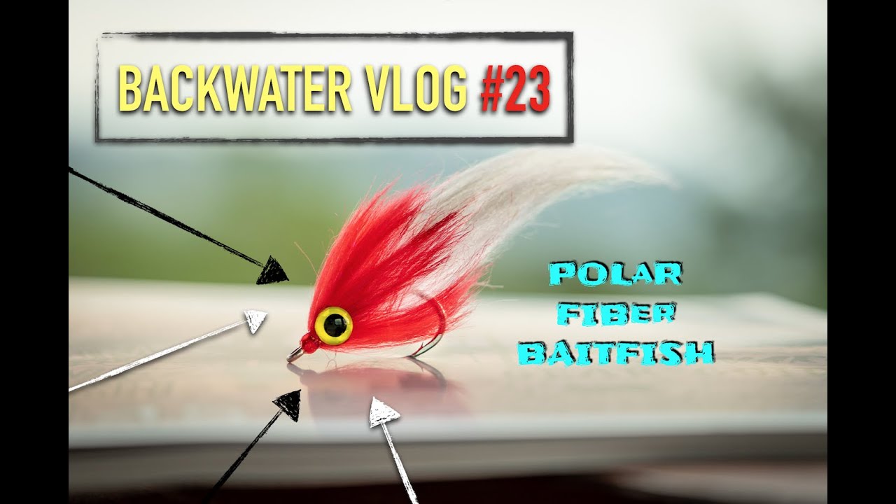 Polar Fiber Brush Saltwater Baitfish Fly: BACKWATER VLOG #23