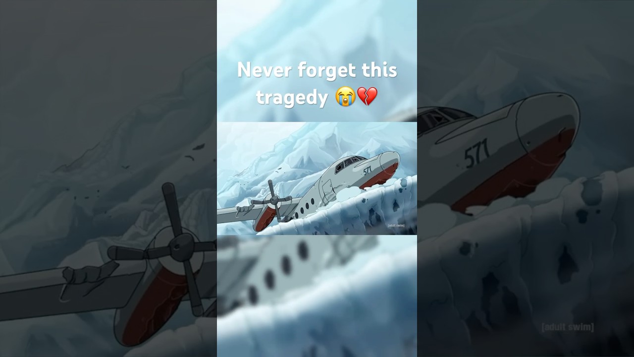 This episode broke me 🥲 #aviation #meme #aviationmeme #planecrash #rickandmorty