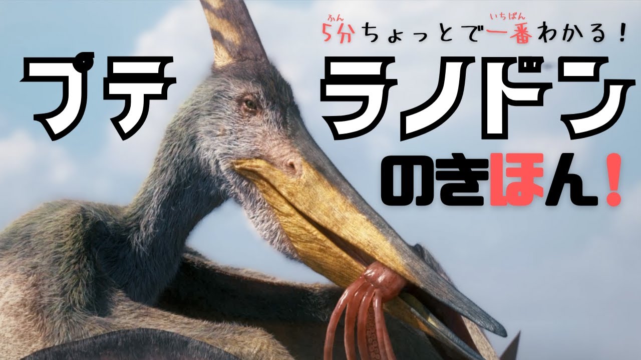 ５分ちょっとでわかる！プテラノドンのきほん！