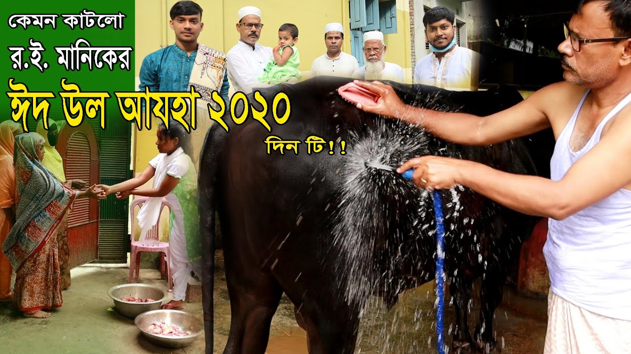 485-দেখুন র.ই.মানিকের ঈদুল আযহা ২০২০ এর দিনটি কেমন কাটলো ।কোরবানি ও মাংস বিতরন বিস্তারিত ।