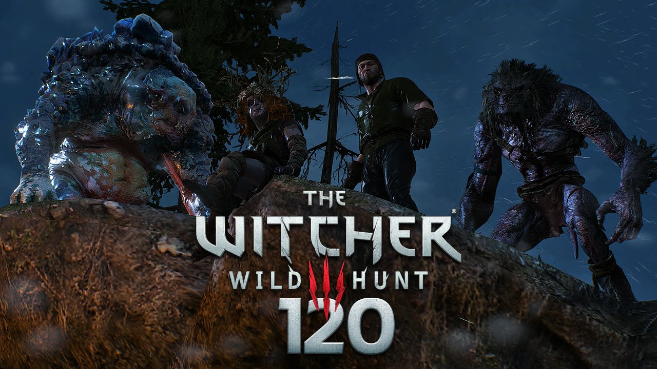 WITCHER 3 [120] - Ein sehr dubioser Auftrag II ★ Let's Play The Witcher 3