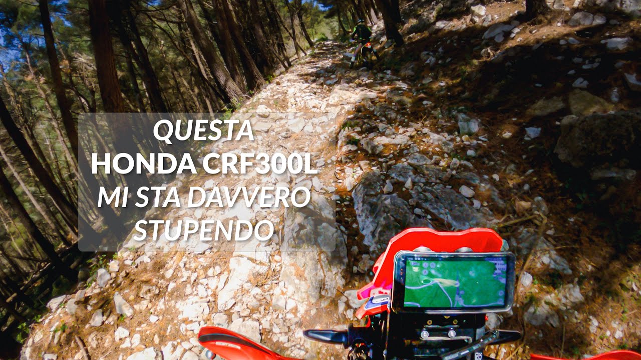 Questa Honda CRF300L mi sta davvero stupendo - CRF300L - RideWithFrank 70