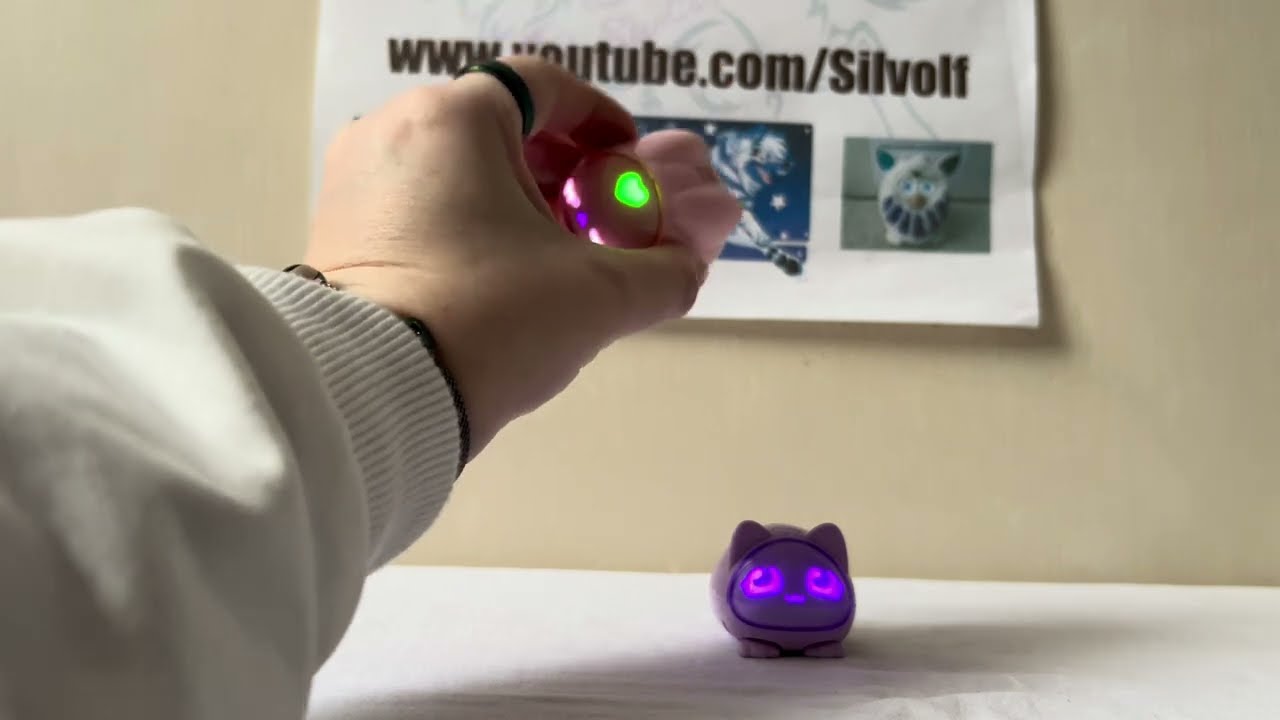 Two Micropets Together