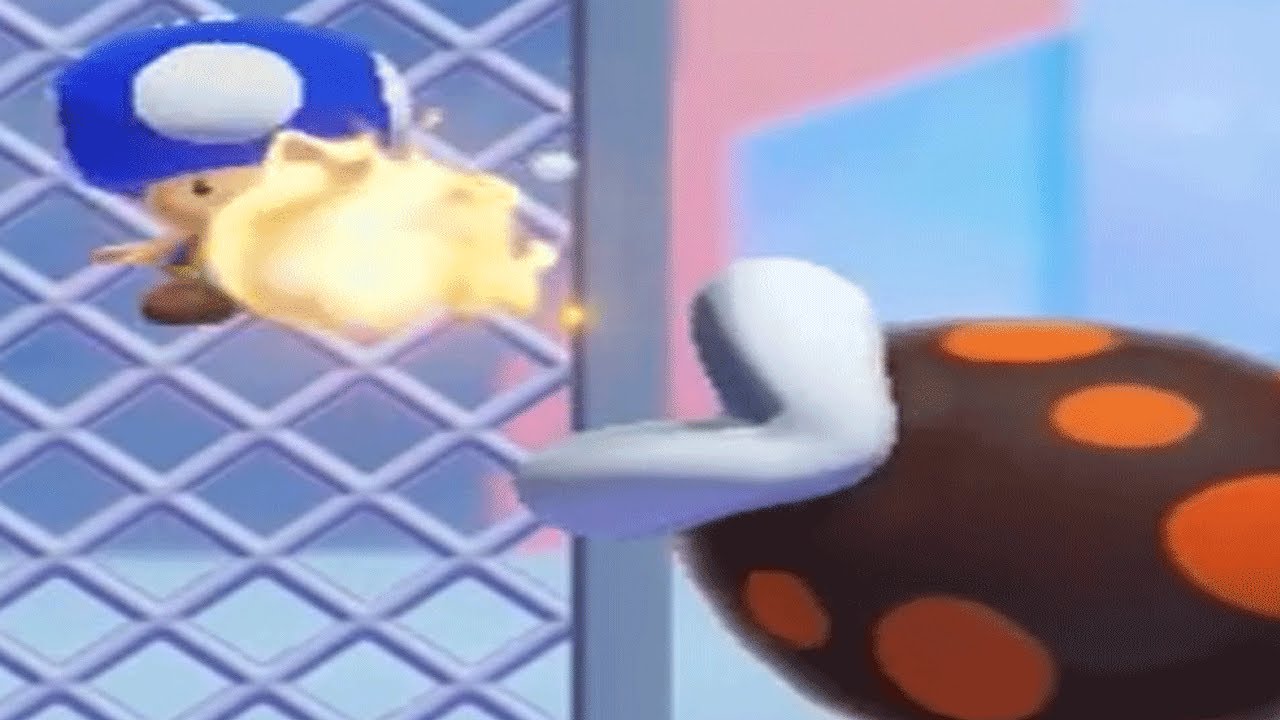 toad gets zesty