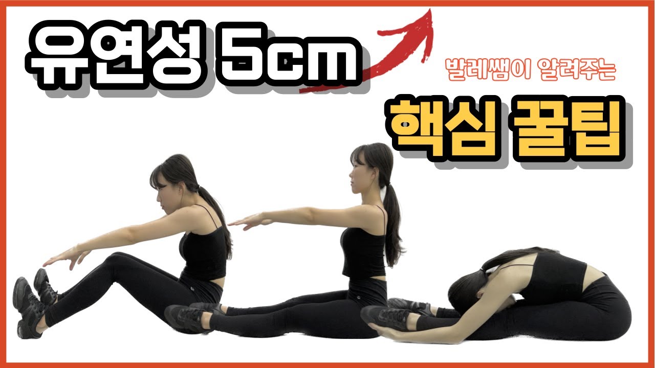 딱 2주교정! 발레쌤이 알려주는 좌전굴 원리 가슴닿는법 꿀팁ㅣ햄스트링, 골반교정, 허리세우는법