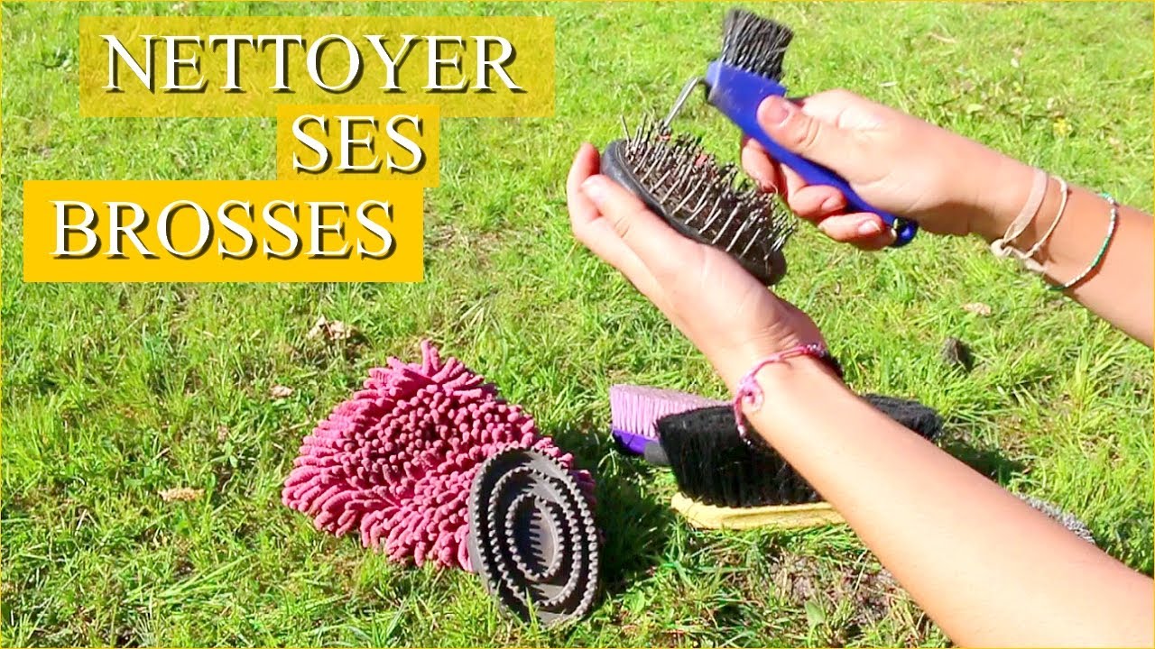 NETTOYER SES BROSSES - Comment faire ?