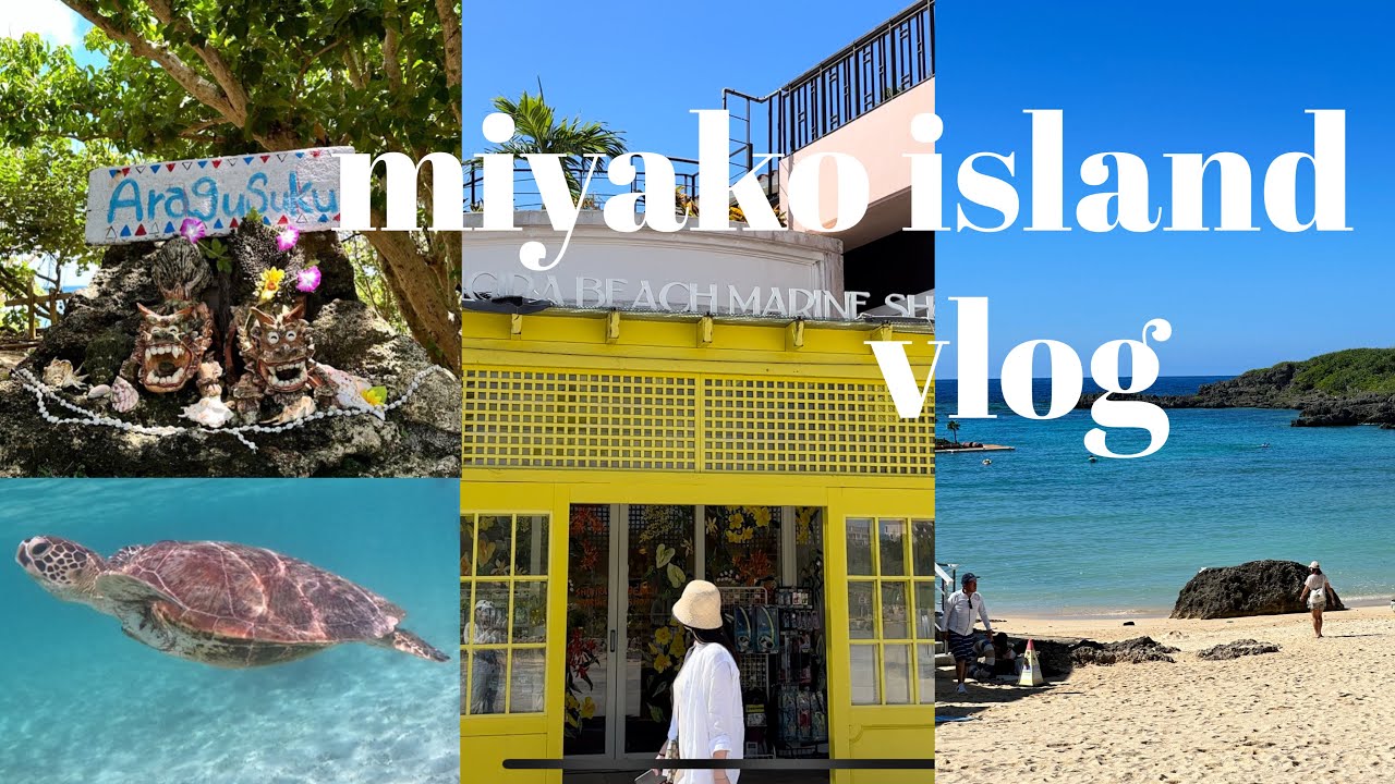 【宮古島vlog】miyako island tirp #2 🌺夏の宮古島グルメ・島唄ライブ居酒屋・シュノーケル・最高の海・day2-3