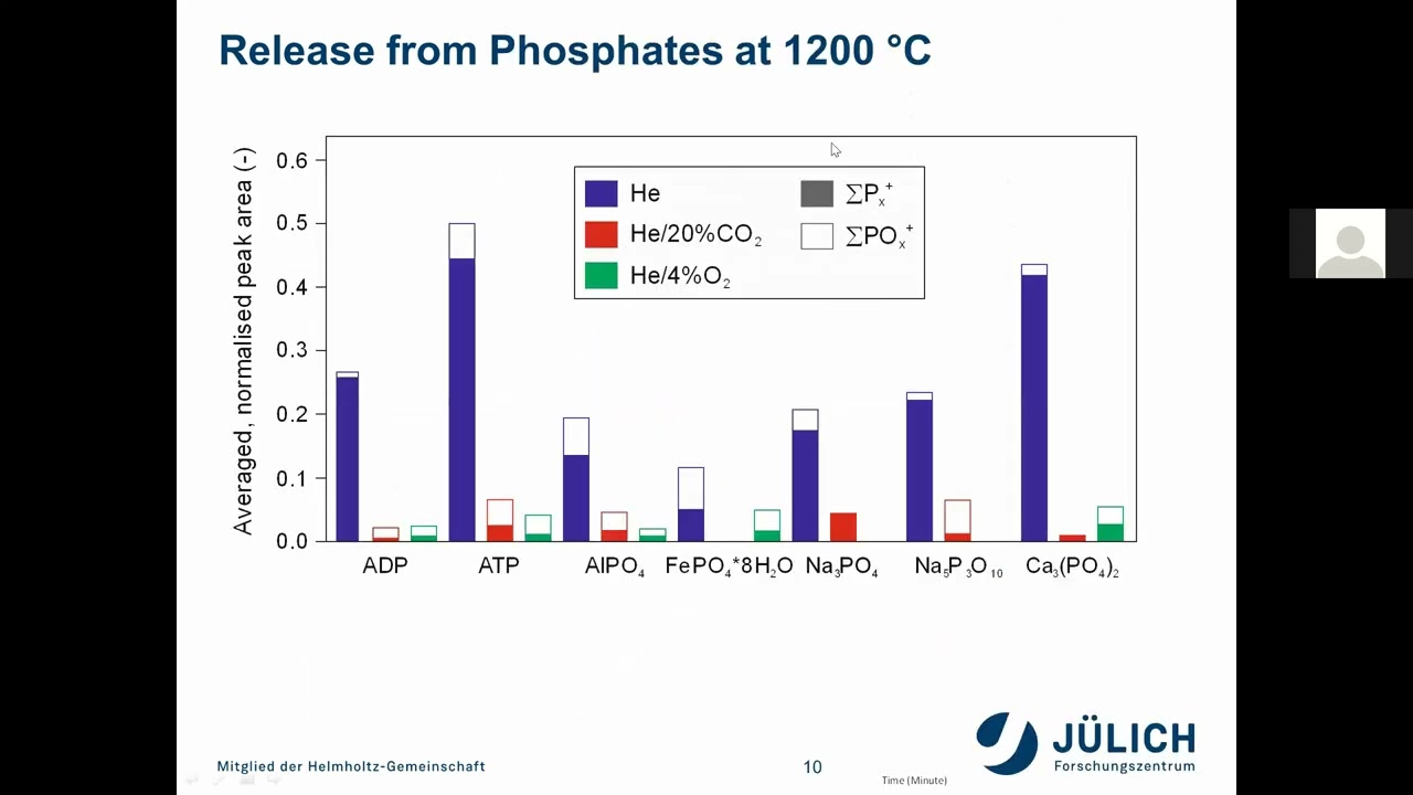 Release and fate of phosphorus during gasification of sewage sludge with coal/wood - Michael Müller