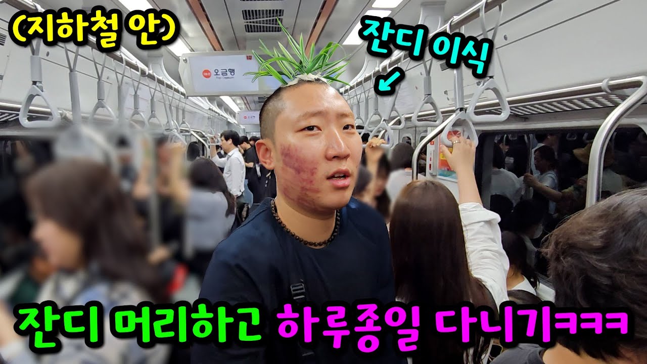 친구 머리에 잔디 심기ㅋㅋㅋ