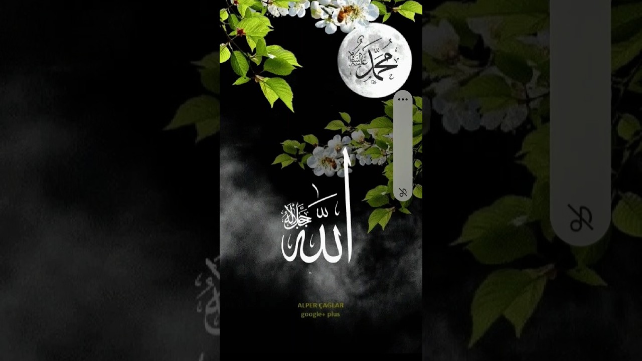Allah ✅️#top trending