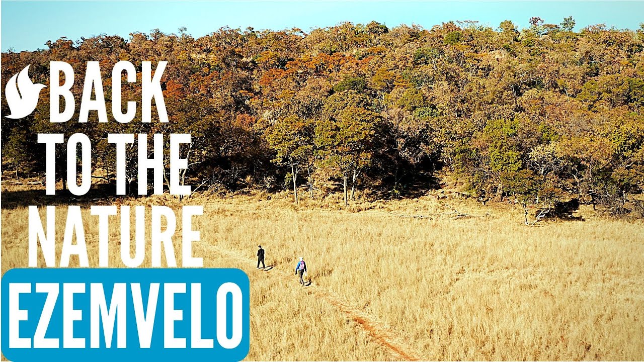 Back to the Nature | EZEMVELO NATURE RESERVE, South Africa