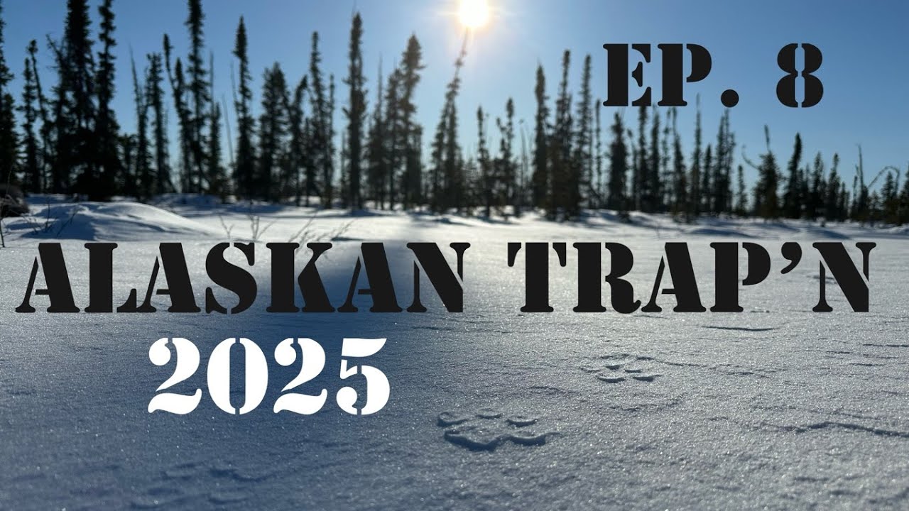 Alaskan Trap'n (Ep 8)