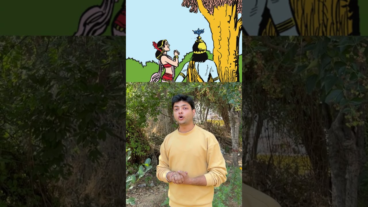 Parijaat ka ped | Parijat Tree story | Night Jasmine | Benefits of Parijat | Harisingaar ka ped
