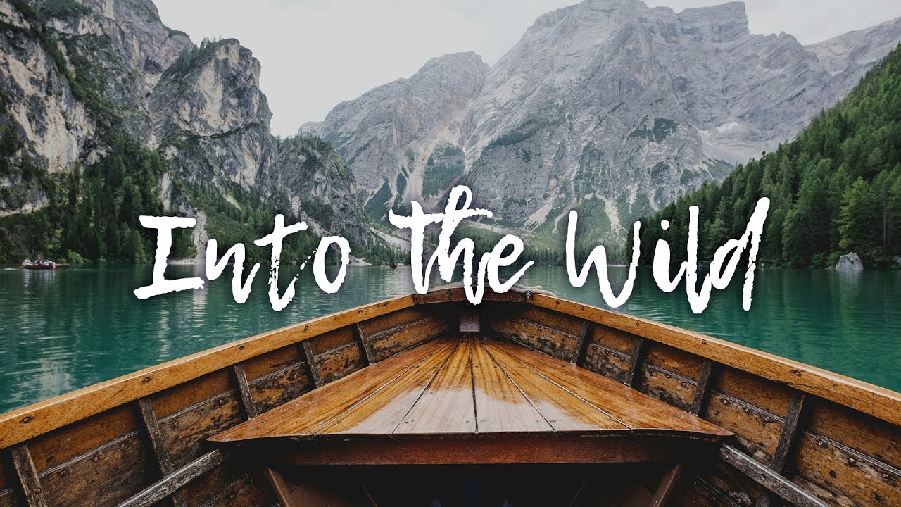 Into The Wild | Acoustic Playlist for Peaceful Moments