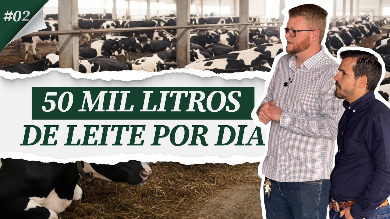 #02 - Conhecendo umas das fazendas de leite mais produtivas do Brasil: Chácara Sempre Verde