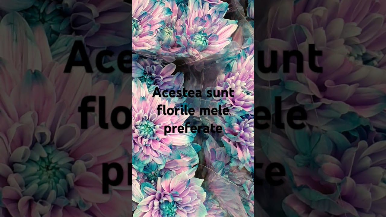 florile mele preferate: