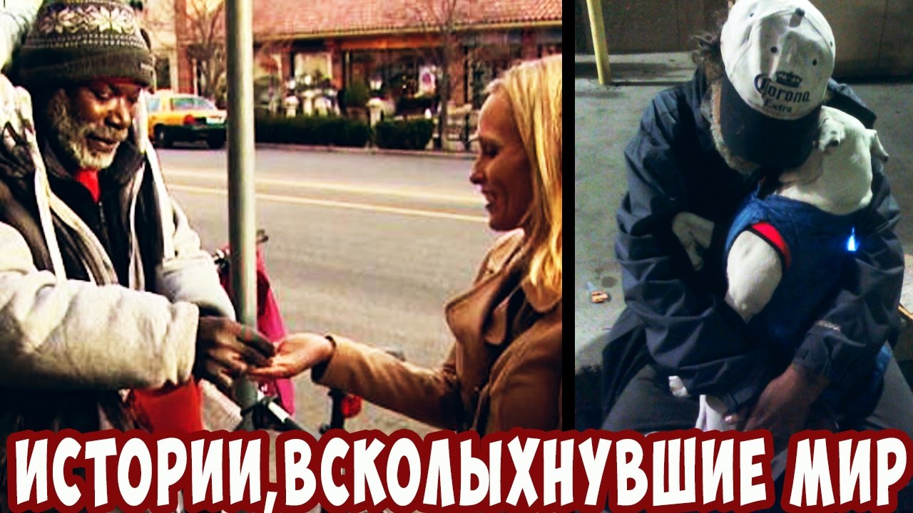 Истории,всколыхнувшие мир! Она увидела этого бездомного и случилось чудо!