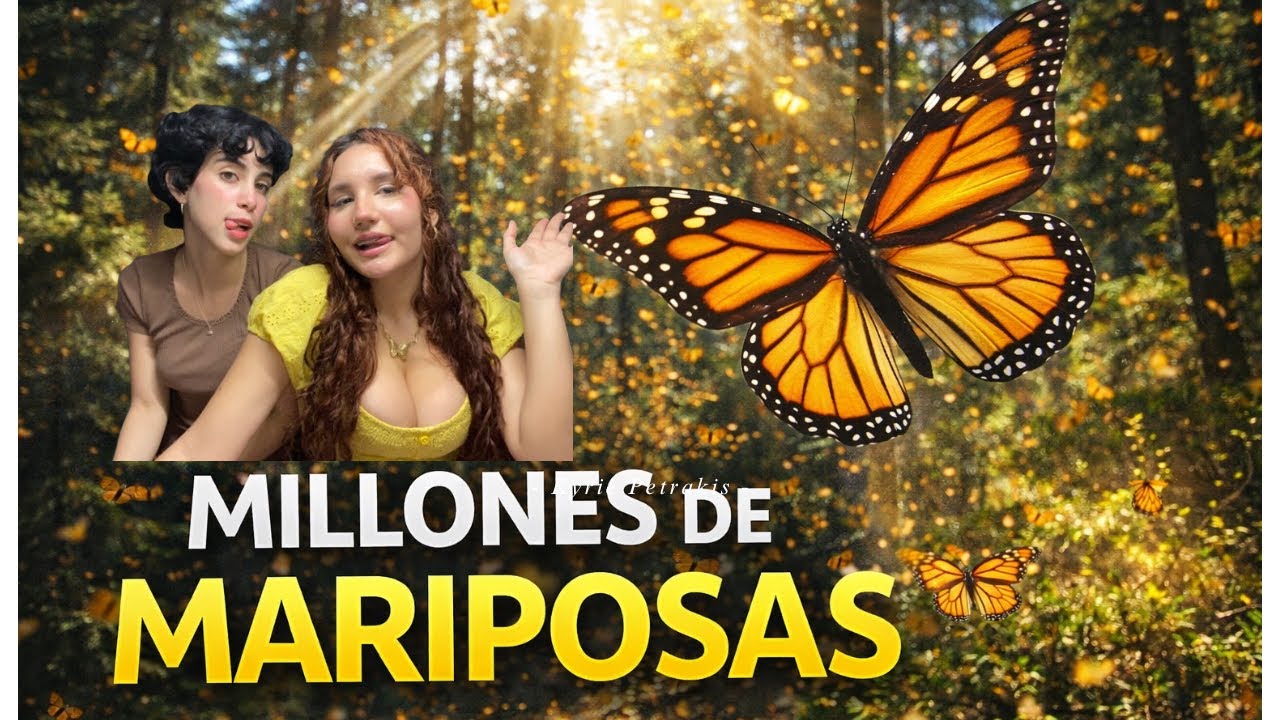 CUBANAS QUEDAN EN SHOCK al ver MILLONES de MARIPOSAS en México 🦋😱