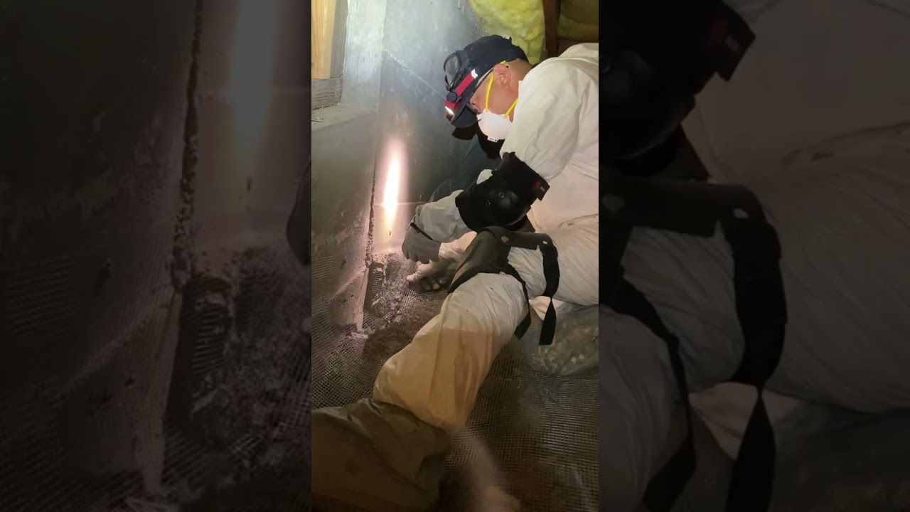 🚨 NEW VIDEO DROP! 🚨 “It Was Cool… Until It Wasn’t” 🐭💥