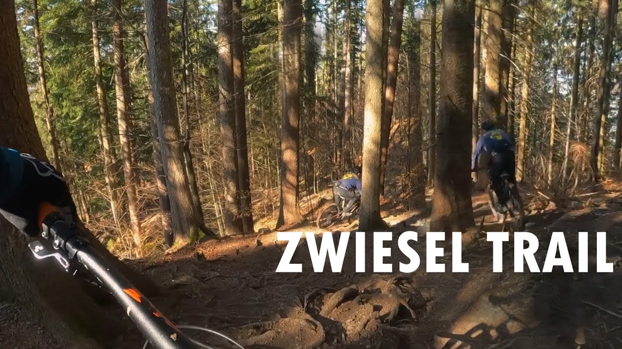 Zwiesel Trail MTB