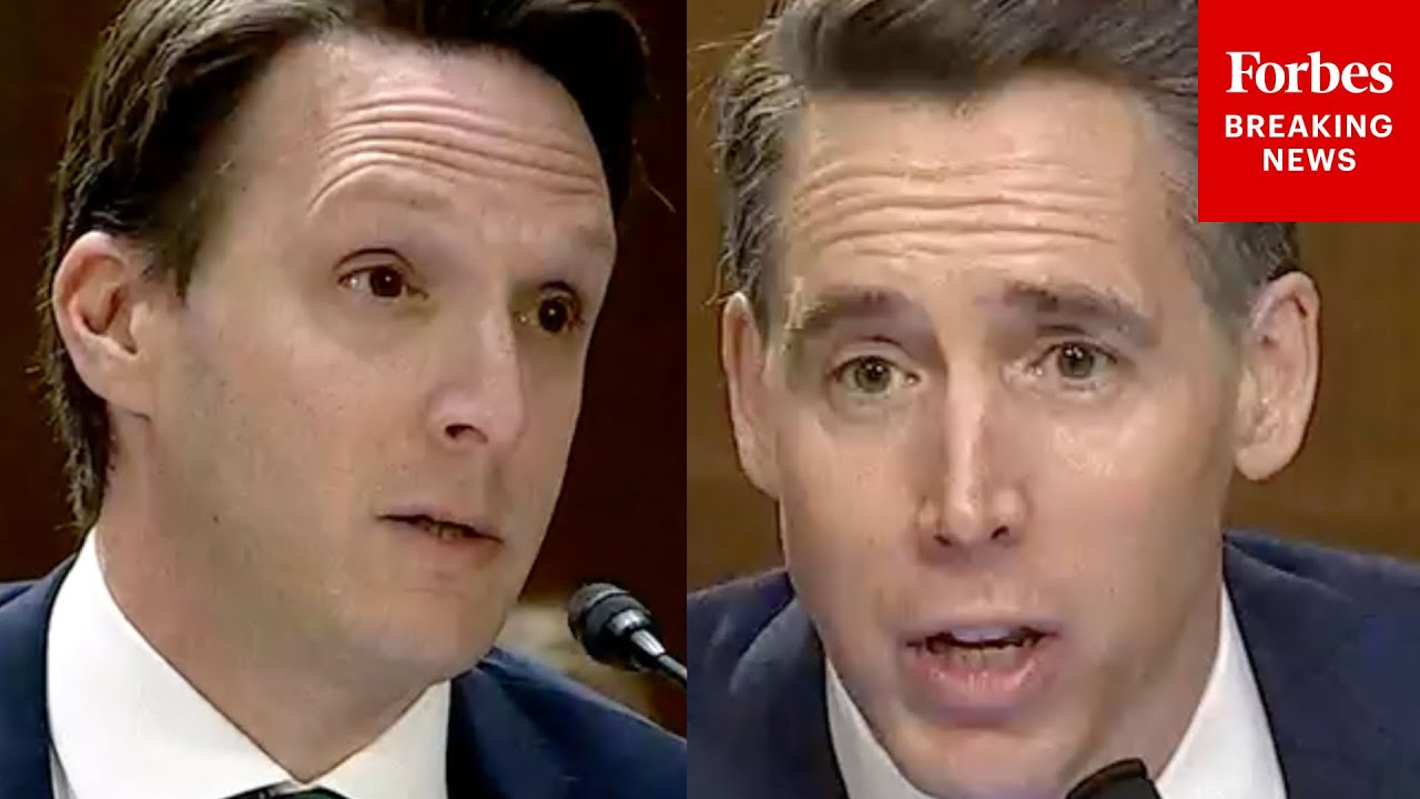 'Why Would That Make Me Feel Any Better?': Hawley Grills Legal Expert About FISA
