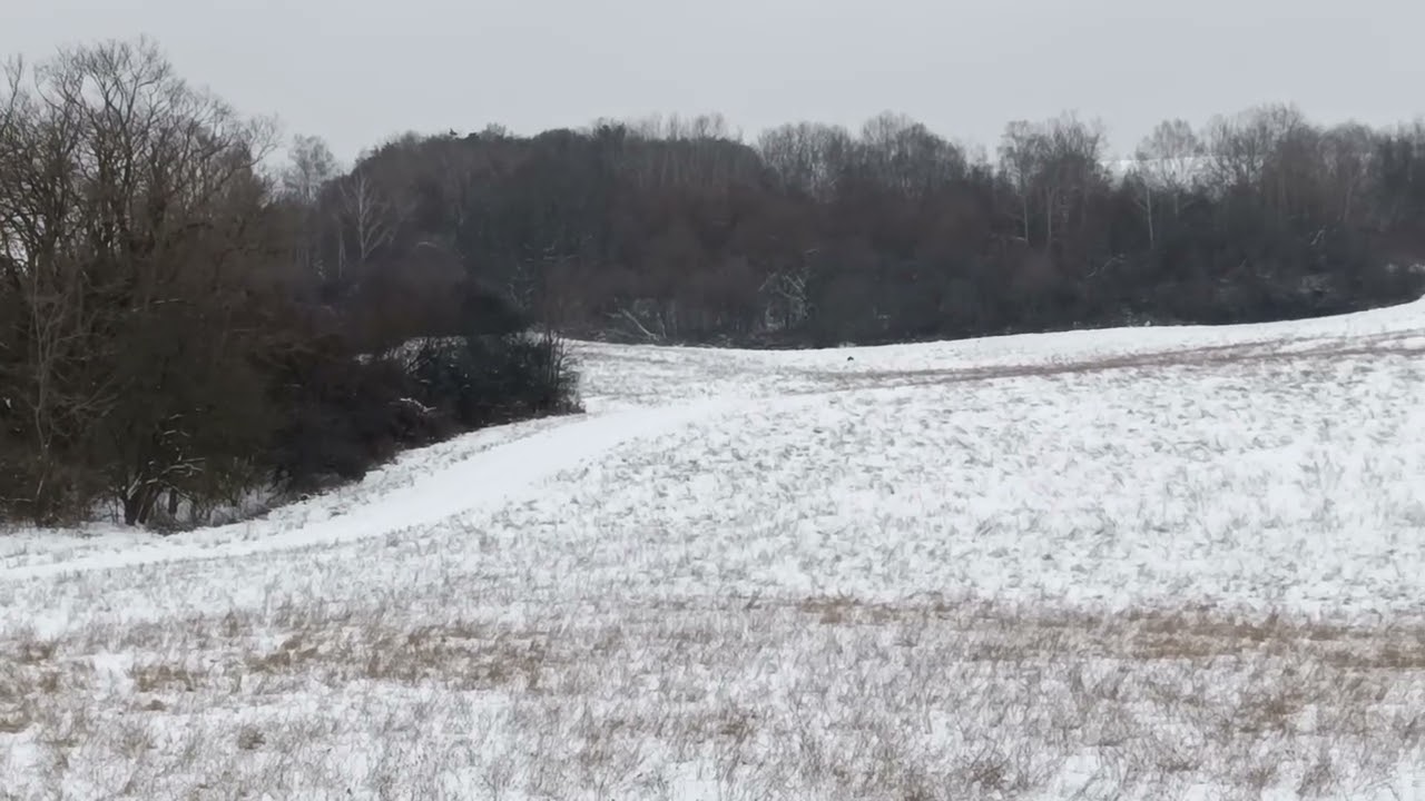 Winter planes.