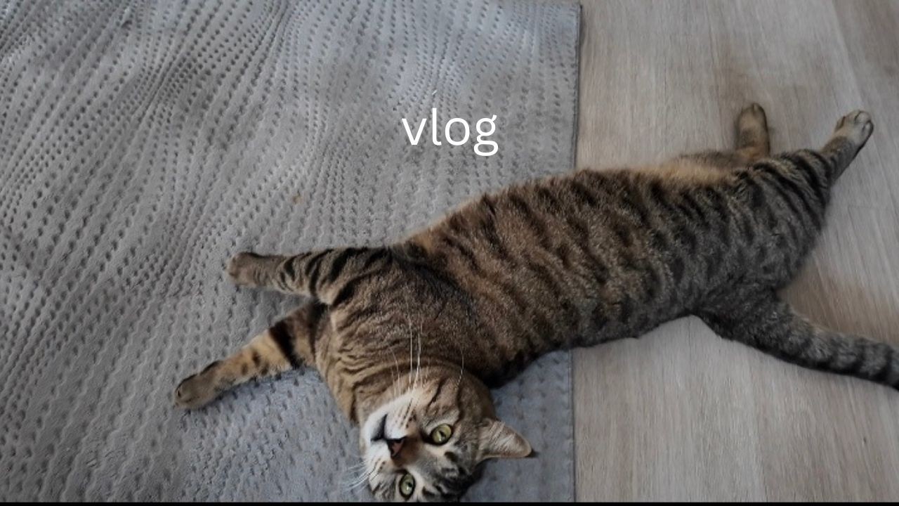 📚☕ Orta Sehpada Bir Çekim Günü | BFF Kitaplığı Karıştırmalı, Sohbetli Cozy Vlog