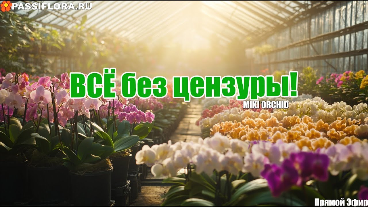 Обычным покупателям дорога закрыта!! А мы показываем ВСЁ без цензуры! 🌸