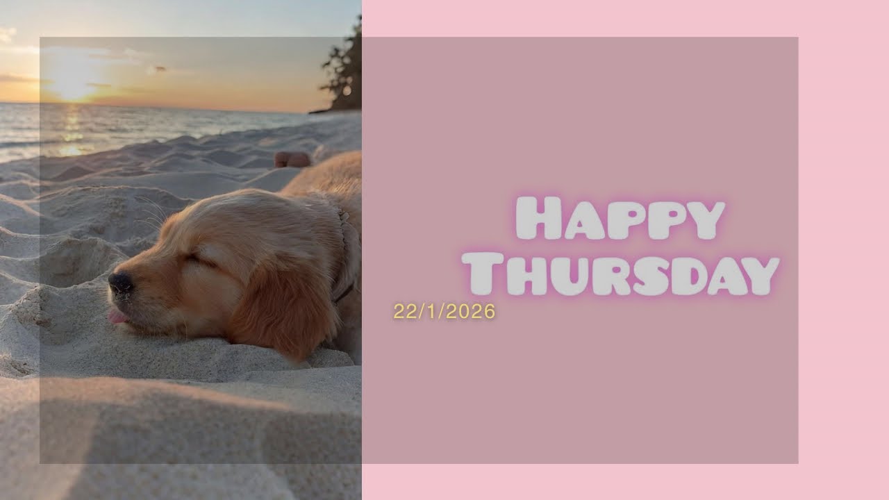 Happy Thursday everyone have fun day 