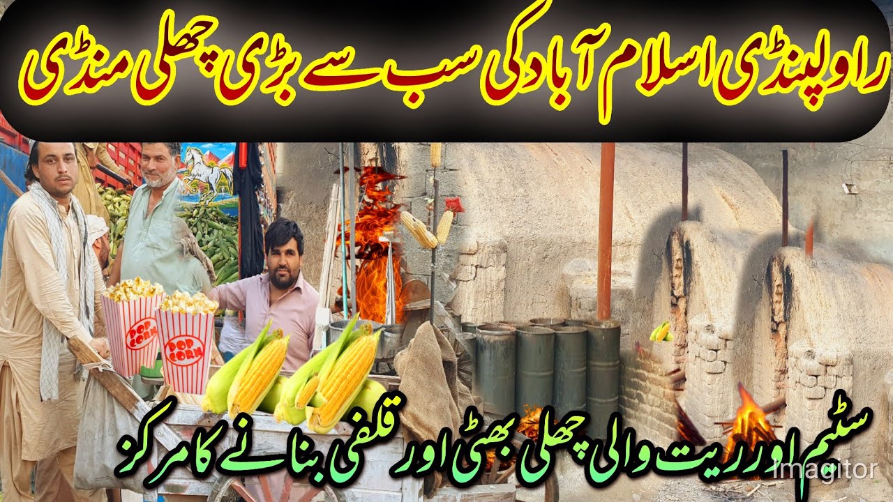 Pakistan’s Biggest Corn Market | Hidden Wholesale Hub of Rawalpindi | Mandi Morr Business Tour 2025
