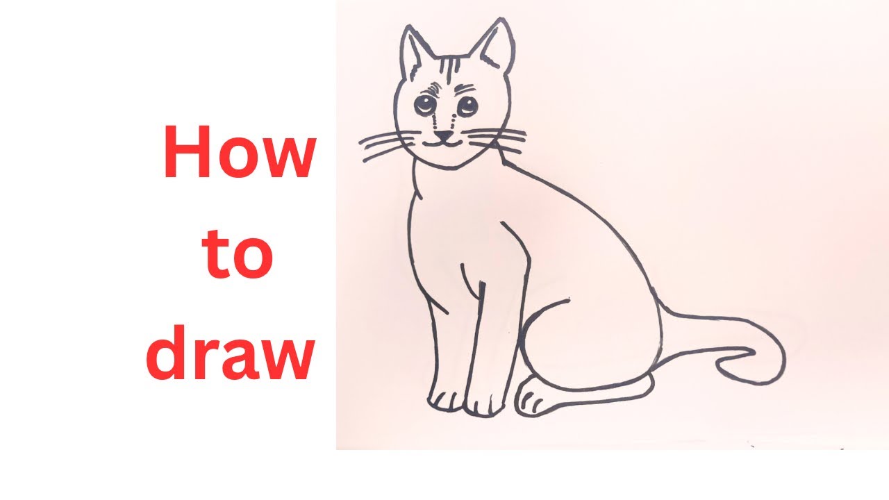 How to draw cat easily / cat drawing step by step @ evr easy drawing 