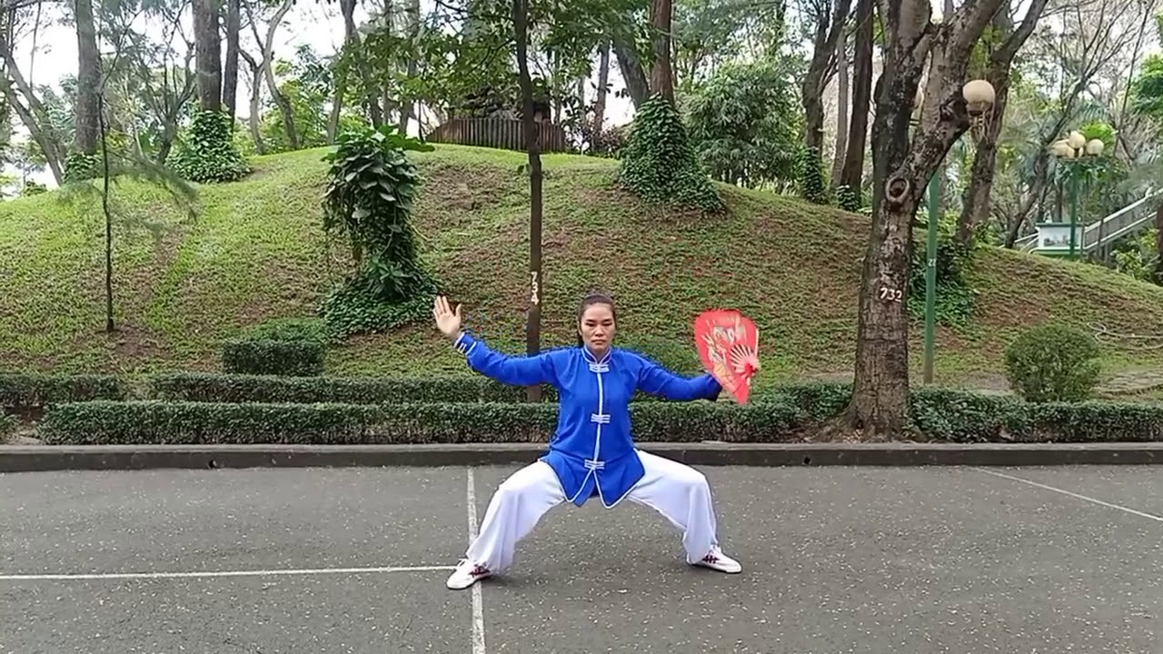 Thái cực Phiến 24 Thức