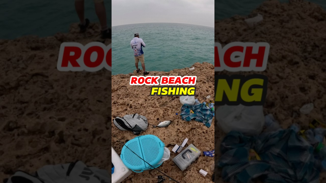 Rock Beach Fishing 