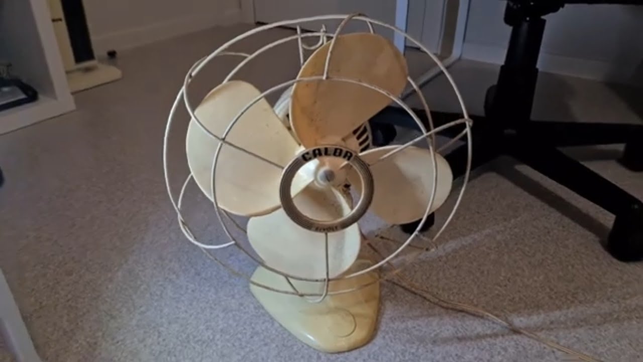 Flea market find: Vintage 1960s' white calor Bivolt 12