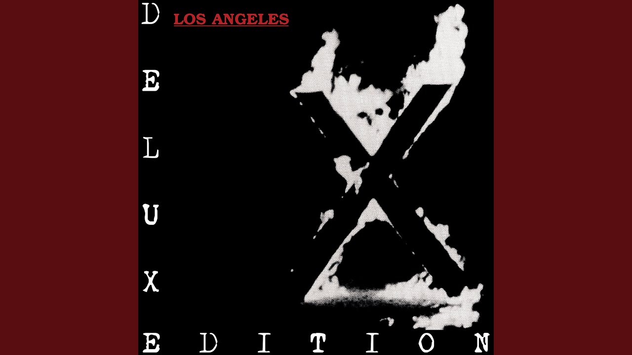 Adult Books (Dangerhouse Rough Mix)