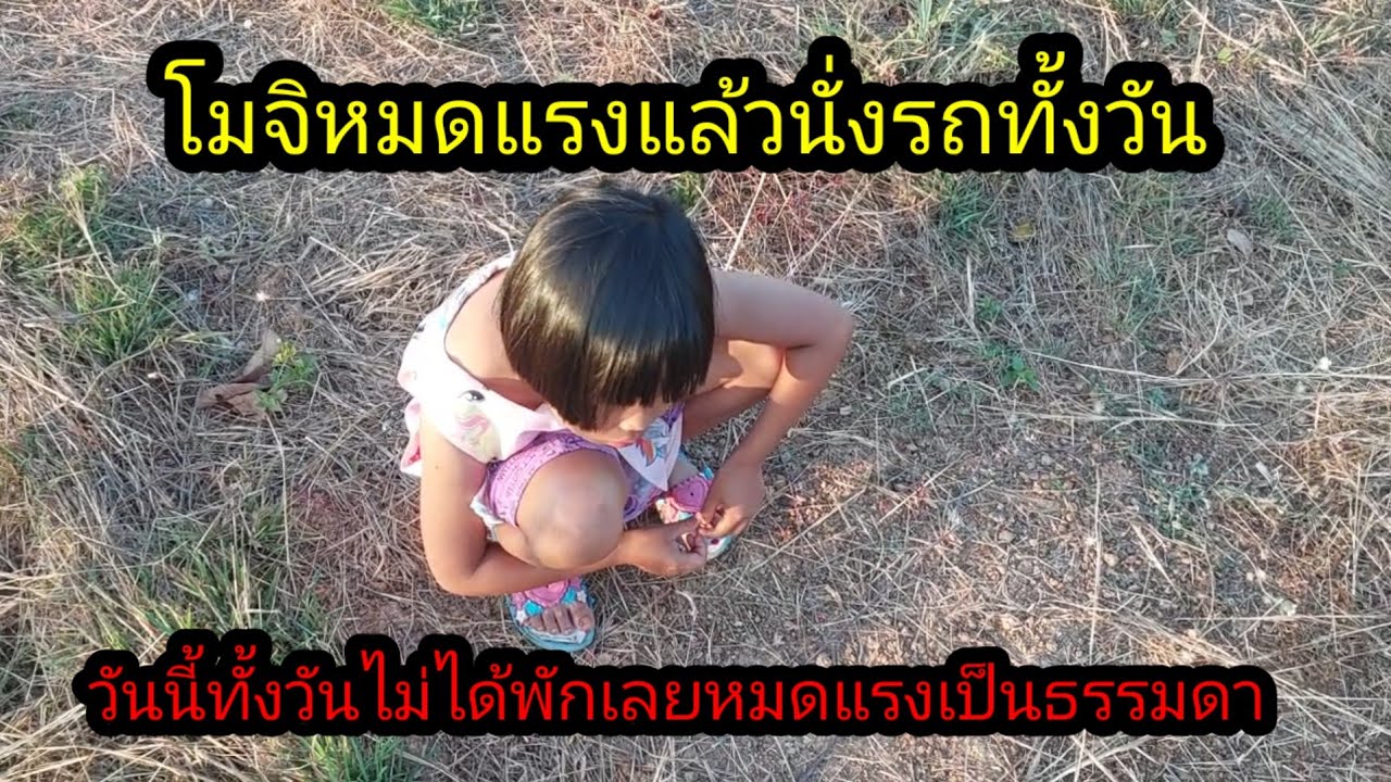 โมจิหมดแรงนั่งรถทั้งวันแบบไม่ได้พักเลยเพลียละสิ#จิตอาสา 
